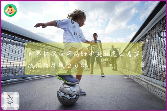 世界杯投注网站赔率变化怎么看实战技巧与风险分析