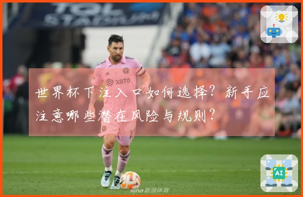 世界杯下注入口如何选择？新手应注意哪些潜在风险与规则？