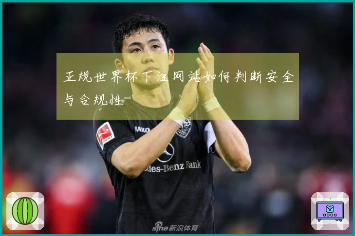 正规世界杯下注网站如何判断安全与合规性-