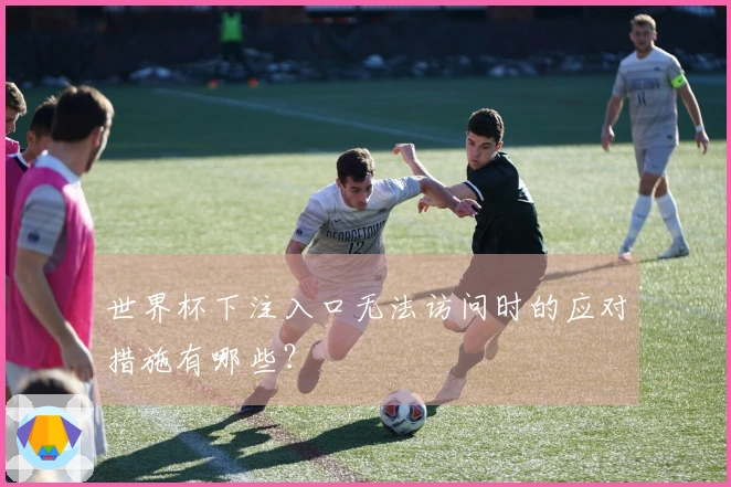 世界杯下注入口无法访问时的应对措施有哪些？