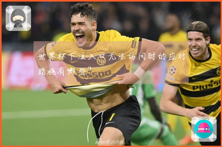 世界杯下注入口无法访问时的应对措施有哪些？
