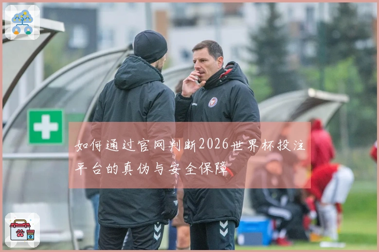 如何通过官网判断2026世界杯投注平台的真伪与安全保障