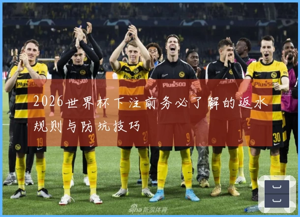 2026世界杯下注前务必了解的返水规则与防坑技巧