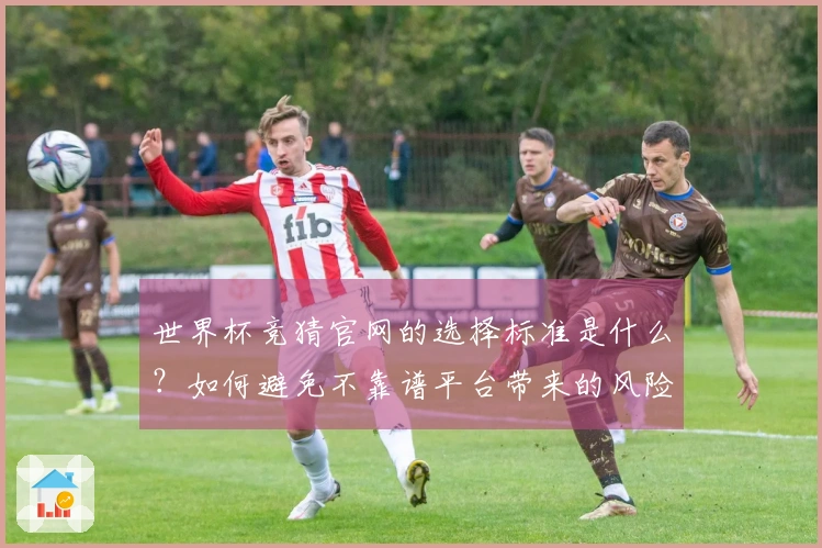 世界杯竞猜官网的选择标准是什么？如何避免不靠谱平台带来的风险？