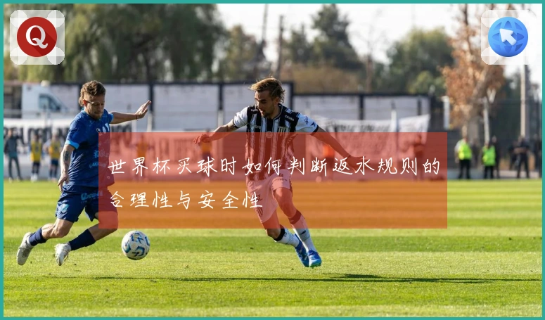 世界杯买球时如何判断返水规则的合理性与安全性