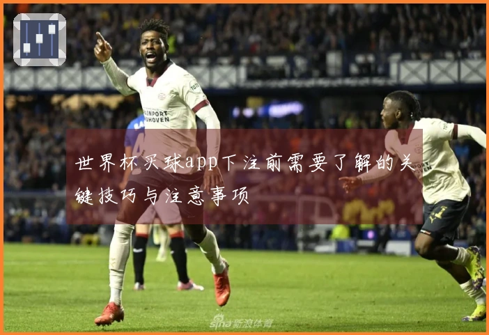 世界杯买球app下注前需要了解的关键技巧与注意事项