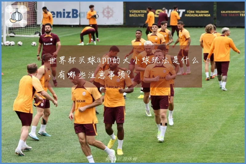 世界杯买球app的大小球玩法是什么，有哪些注意事项？