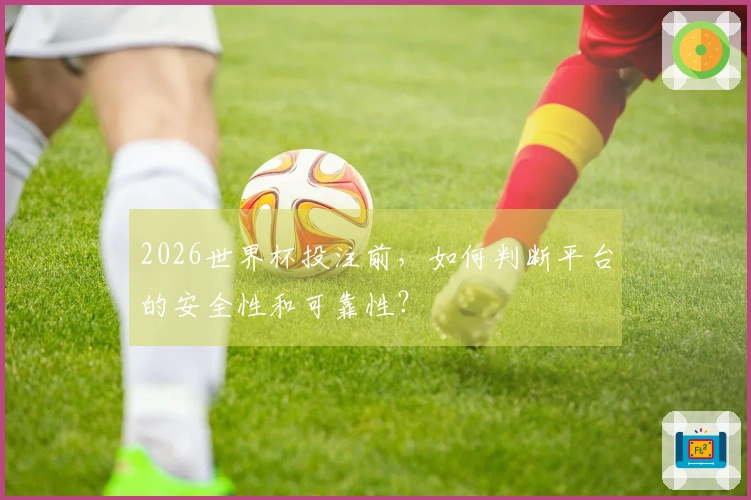 2026世界杯投注前，如何判断平台的安全性和可靠性？