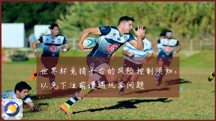 世界杯竞猜平台的风险控制须知，以免下注前遭遇坑爹问题