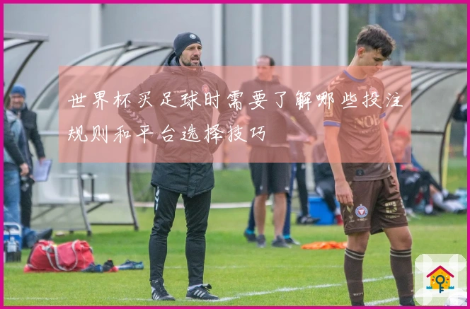 世界杯买足球时需要了解哪些投注规则和平台选择技巧