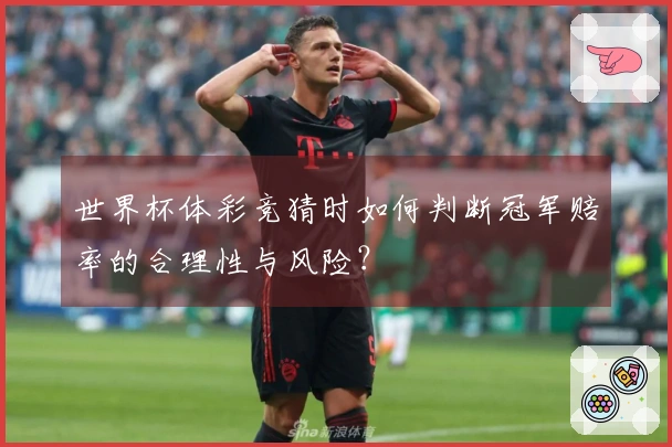 世界杯体彩竞猜时如何判断冠军赔率的合理性与风险？