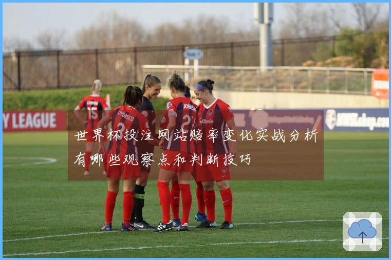 世界杯投注网站赔率变化实战分析有哪些观察点和判断技巧