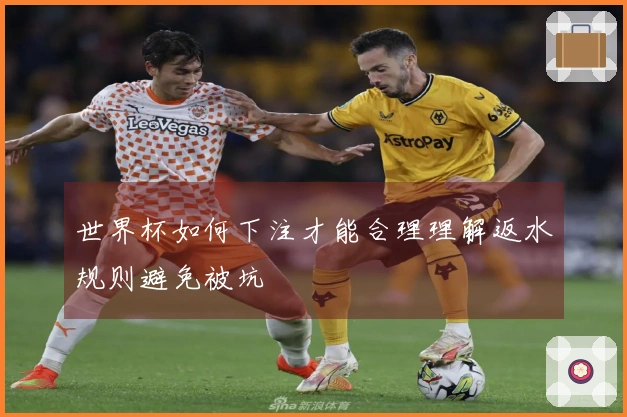 世界杯如何下注才能合理理解返水规则避免被坑