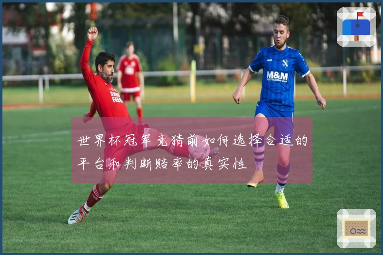 世界杯冠军竞猜前如何选择合适的平台和判断赔率的真实性