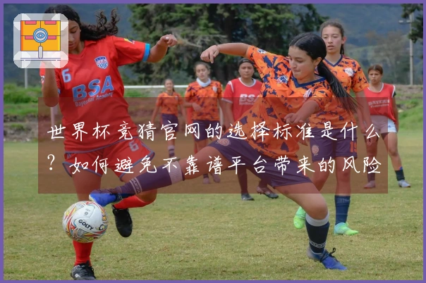 世界杯竞猜官网的选择标准是什么？如何避免不靠谱平台带来的风险？