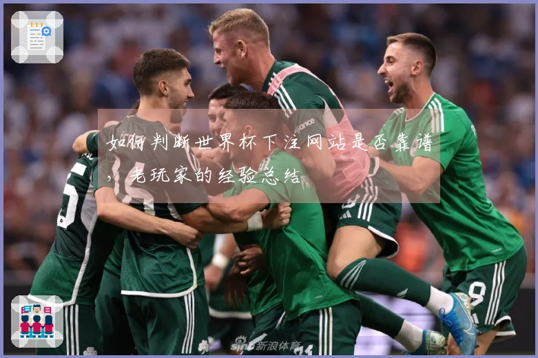 如何判断世界杯下注网站是否靠谱，老玩家的经验总结