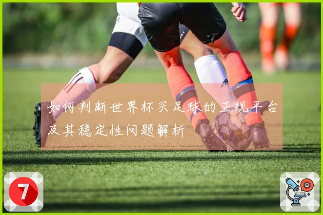 如何判断世界杯买足球的正规平台及其稳定性问题解析