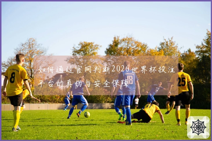 如何通过官网判断2026世界杯投注平台的真伪与安全保障