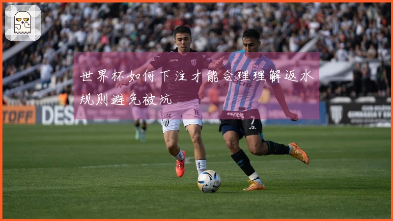 世界杯如何下注才能合理理解返水规则避免被坑
