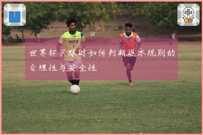 世界杯买球时如何判断返水规则的合理性与安全性