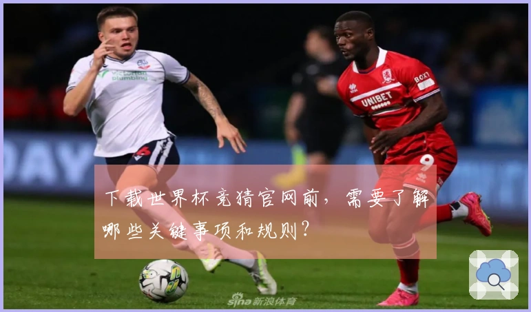 下载世界杯竞猜官网前，需要了解哪些关键事项和规则？
